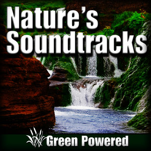Serene Wind Chime Chorus