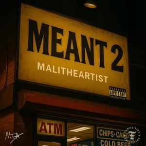 MEANT 2 (Explicit)