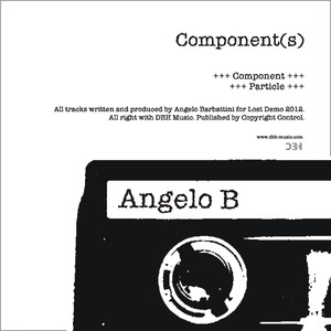 Component (s)