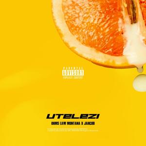 UTELEZI (feat. Ohms Law Montana) (Explicit)