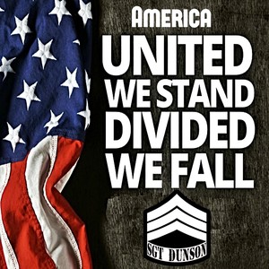 America: United We Stand, Divided We Fall