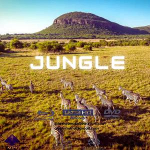 Afro Beat X Burna Boy Beat (Jungle)