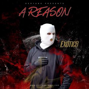 A Reason (Explicit)