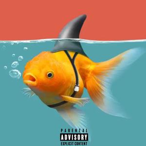 FAKE (feat. srs!) (Explicit)