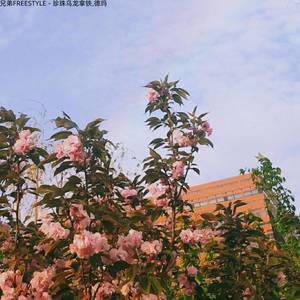 兄弟freestyle (Explicit)