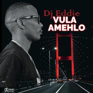 VULA AMEHLO