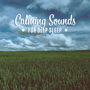 Calming Sounds for Deep Sleep: Music to Help You Sleep, Music to Cure Insomnia, Relaxing Music Therapy, Inner Harmony, Soul, Body & Mind Healing