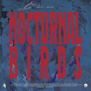 Nocturnal Birds