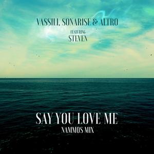 Say You Love Me(feat. Steven Aderinto) (Nammos Mix)