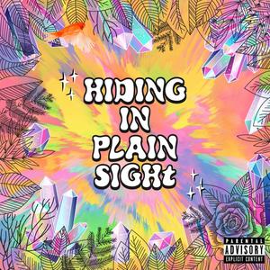 HIDING IN PLAIN SIGHt (Explicit)