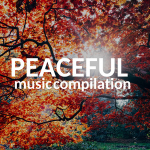 Peaceful Music Compilation - Autumn 2018