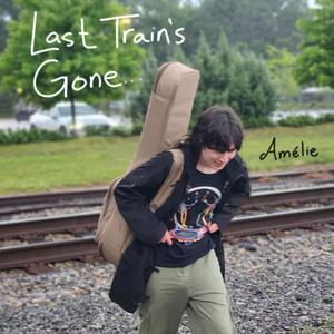 Last Train's Gone (feat. Dave Nachmanoff & Bart van der Zeeuw)