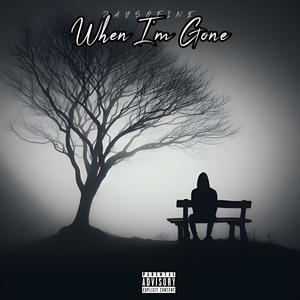 When Im Gone (Explicit)