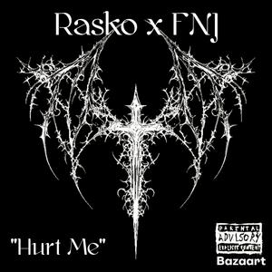 Hurt Me (feat. FNJ) (Explicit)