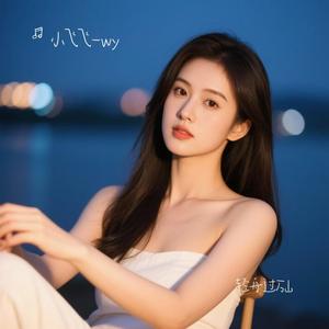 小飞飞-wy - 轻舟过万山