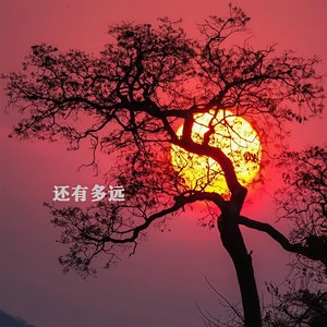 还有多远