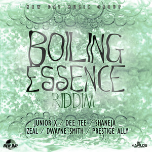 Boiling Essence Riddim