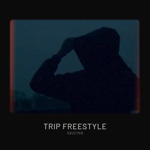 TRIP FREESTYLE (Explicit)