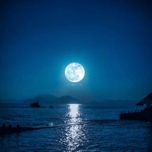 family guy (feat. SamCBK & dmulaa223) (Explicit)