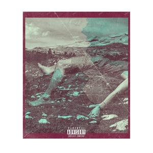 Somebody (feat. Big Slope & Slaphard baby j) (Explicit)