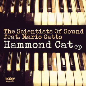 Hammond Cat (Bassline Mix)