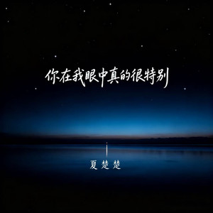 你在我眼中真的很特别