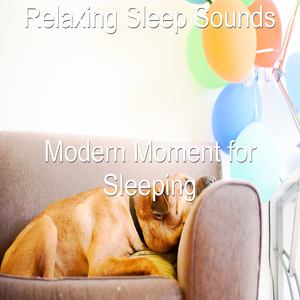 Modern Moment for Sleeping