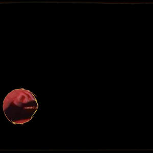 Bottle Down (feat. Shadebeats) (Explicit)