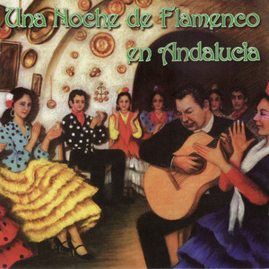 Una Noche de Flamenco en Andalucia