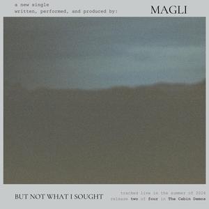 But Not What I Sought (Cabin Version)