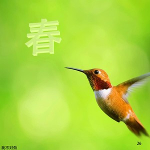 春