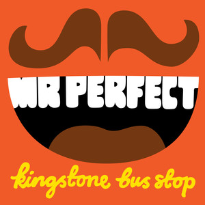 Mr Perfect