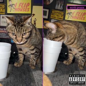 world peace (Explicit)