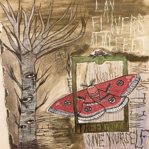 popped like a cyst! (Stripped)