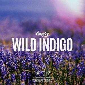 Wild Indigo