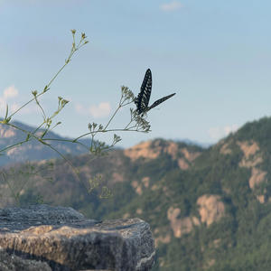 Sleeping on the Couch