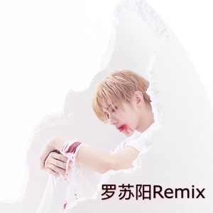 罗苏阳Remix - 雾里 (remix:罗苏阳|DJ版)