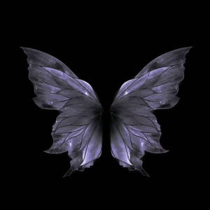 孤独Person (你对我的了解 无声的告别)