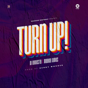 Turn Up(feat. Meeky James)