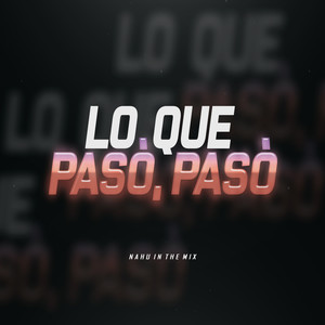 Lo Que Pasó Pasó (Remix|Explicit)