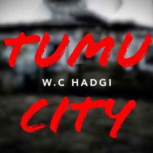 Tumu City