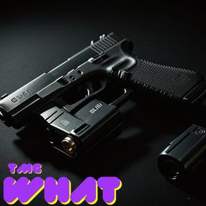 TMG WHAT? (feat. Josh.act, Scrapdizzy & VLrichh)