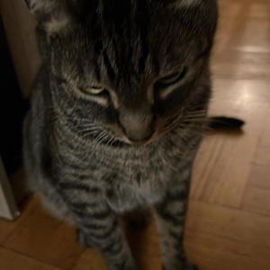 sad asf mad asf (Explicit)