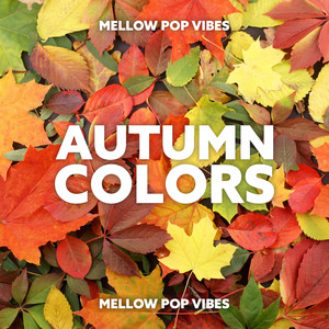 Autumn Colors: Mellow Pop Vibes