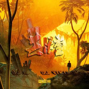 音阙诗听-芒种 DJK u0026 Vinil H 2019 (Vinil_H / djk remix)