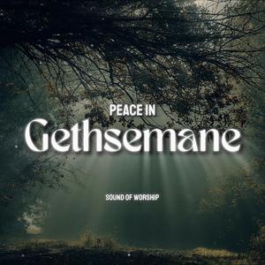 Pace in Gethsemane | Instrumental Worship Music | Prayer and Devotional