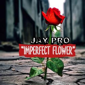 IMPERFECT FLOWER (Explicit)