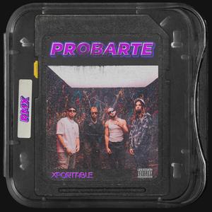 Probarte (feat. Xtyler Homie, OUGY, AARON 21, Fraimin Castle & Taybig) (Remix|Explicit)