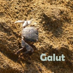 Galut: Ballads of Wadi-Sabi