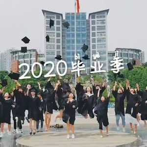 雪落下的声音-我抱了条狗